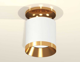 Комплект накладного светильника Ambrella light Techno Spot XS7401121 SWH/PYG белый песок/золото желтое полированное (N7929, C7401, N7034)