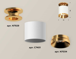 Комплект накладного светильника Ambrella light Techno Spot XS7401121 SWH/PYG белый песок/золото желтое полированное (N7929, C7401, N7034)