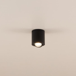Потолочный светильник Citilux Дюрен CL538113