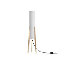 Торшер Freya FR5543FL-01T