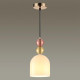Подвесной светильник Lumion Suspentioni Gillian 4589/1A