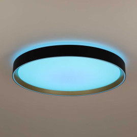 Потолочный светодиодный светильник Citilux Boss CL751451G