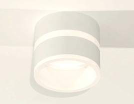 Комплект накладного светильника Ambrella light Techno Spot XS (C8101, N8444) XS8101019