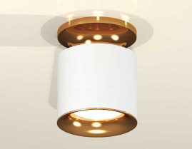 Комплект накладного светильника Ambrella light Techno Spot XS7401122 SWH/PYG белый песок/золото желтое полированное (N7929, C7401, N7014)