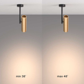 Спот Maytoni Elti C020CL-01GB