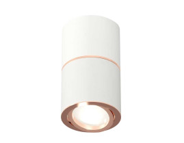 Комплект потолочного светильника Ambrella light Techno Spot XS (C7401, A2073, C7401, N7005) XS7401220
