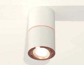 Комплект потолочного светильника Ambrella light Techno Spot XS (C7401, A2073, C7401, N7005) XS7401220