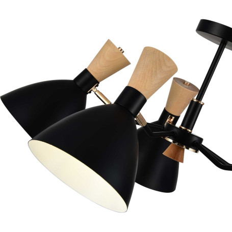 Потолочная люстра Evoluce Vista SLE1256-402-05