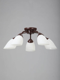 Потолочная люстра Vitaluce V3252/5PL