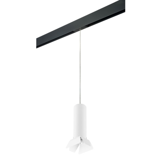 Комплект с трековым светильником Lightstar Rullo (214496+595857+202436) PRORP496436
