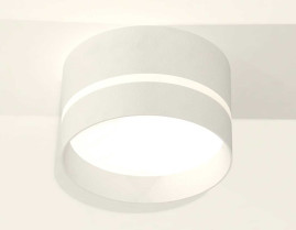 Комплект накладного светильника Ambrella light Techno Spot XS (C8101, N8461) XS8101020