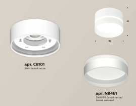 Комплект накладного светильника Ambrella light Techno Spot XS (C8101, N8461) XS8101020