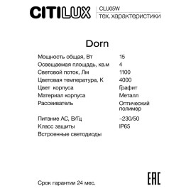 Уличный настенный светильник Citilux Dorn CLU05W