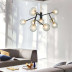 Подвесная светодиодная люстра Imperium Loft Pearl 101899-26