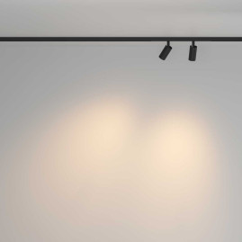 Трековый светильник Maytoni Technical TR176-1-2X3WTW-M-B