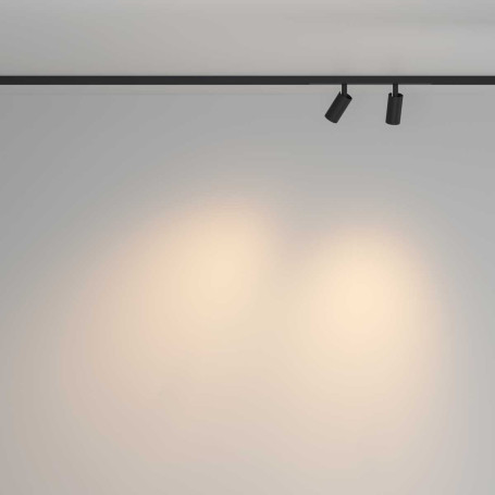 Трековый светильник Maytoni Technical TR176-1-2X3WTW-M-B