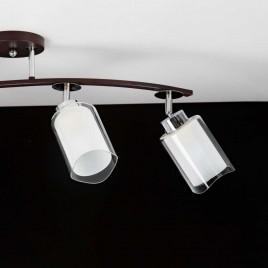 Спот Citilux Фортуна CL156142