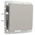 Выключатель одноклавишный проходной (дымчатый) W1212004/ a069449