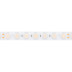 Светодиодная лента герметичная Arlight 21W/m 42LED/m 2835SMD дневной белый 5М FLT-PS-A42-23mm 24V 037728