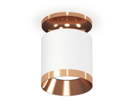 Комплект накладного светильника Ambrella light Techno Spot XS7401141 SWH/PPG белый песок/золото розовое полированное (N7930, C7401, N7035)