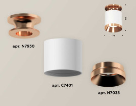 Комплект накладного светильника Ambrella light Techno Spot XS7401141 SWH/PPG белый песок/золото розовое полированное (N7930, C7401, N7035)