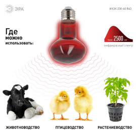 Лампа инфракрасная ЭРА E27 60 Вт для обогрева животных и освещения ИКЗК 230-60 Вт R63 Е27 Б0057281