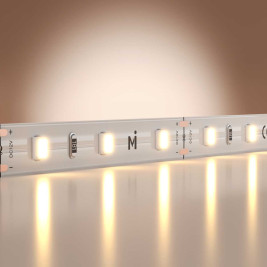 Светодиодная лента Maytoni Led Strip 5м 201162