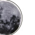 Настенно потолочный светодиодный светильник Escada Planet 605/S LED Moon