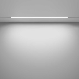Трековый светодиодный светильник Maytoni Technical Basis TR030-2-24W3K-W