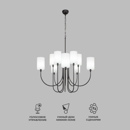 Подвесная люстра Eurosvet Abbey 60164/10 черный Smart