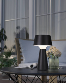 Аккуммуляторная сенсорная настольная лампа Eglo HUESA 75796