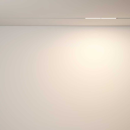 Трековый светильник Voltega Эксилайт / Exilight VGL106-2-12W3K-W