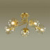 Потолочная люстра Lumion Moderni Breana 4556/5C