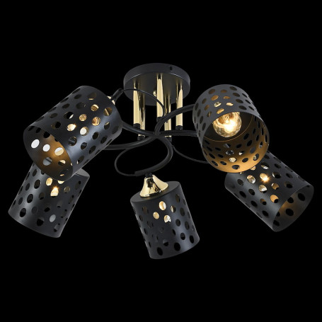 Потолочный светильник Reluce 01385-0.3-05 BK+FGD