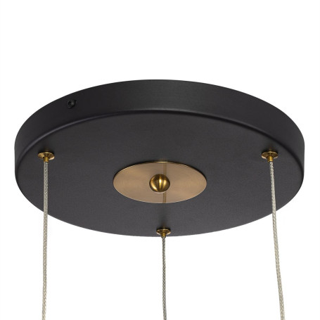 Подвесной светильник Citilux Tanna CL253020