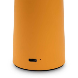 Настольная аккумуляторная лампа Freya Mushroom FR6109TL-L4OR
