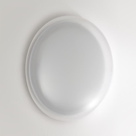 Настенно-потолочный светильник Sonex JOLLY 7776/DLN