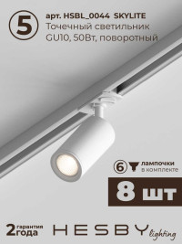 Встраиваемая однофазная трековая система Hesby Lighting Skylite №3 со светильниками HSBL_kompl_S003_VI4W4K