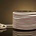 Гибкий неон Elektrostandard 9,6W/m 120LED/m 2835SMD дневной белый 50M a052994