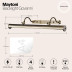 Подсветка для картин Maytoni Govanni PIC119-44-R
