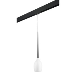 Комплект с трековым светильником Lightstar Meta d'uovo (807110+595007) PRO807110