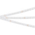 Светодиодная лента герметичная Arlight 21W/m 42LED/m 2835SMD холодный белый 5М FLT-PS-A42-23mm 24V 040917
