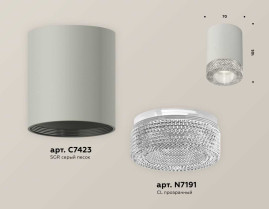 Комплект накладного светильника Ambrella light Techno Spot XS7423001 SGR/CL серый песок/прозрачный (C7423, N7191)