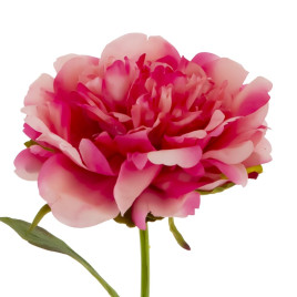 Цветок искусственный &quot;Пион&quot; (Real Touch), L12 W12 H56 см