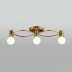 Потолочная люстра Italline Vega PL 6088/3 bronze