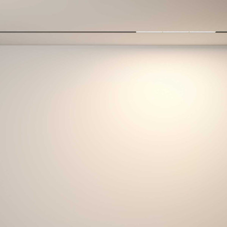 Трековый светильник Voltega Эксилайт / Exilight VGL106-2-18W3K-B