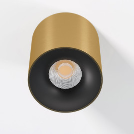 Потолочный светодиодный светильник Elektrostandard Primo 25116/LED a069414