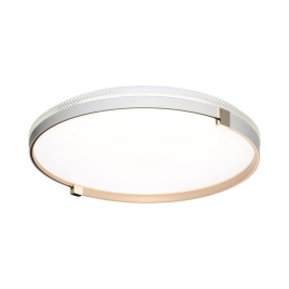 Настенно-потолочный светильник Sonex OLIDI WHITE 7646/DLN