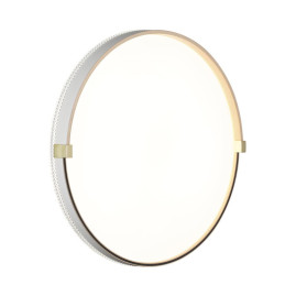 Настенно-потолочный светильник Sonex OLIDI WHITE 7646/DLN