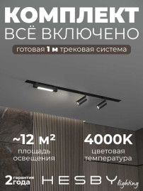 Встраиваемая однофазная трековая система Hesby Lighting Skylite №5 со светильниками HSBL_kompl_S005_VI1B4K